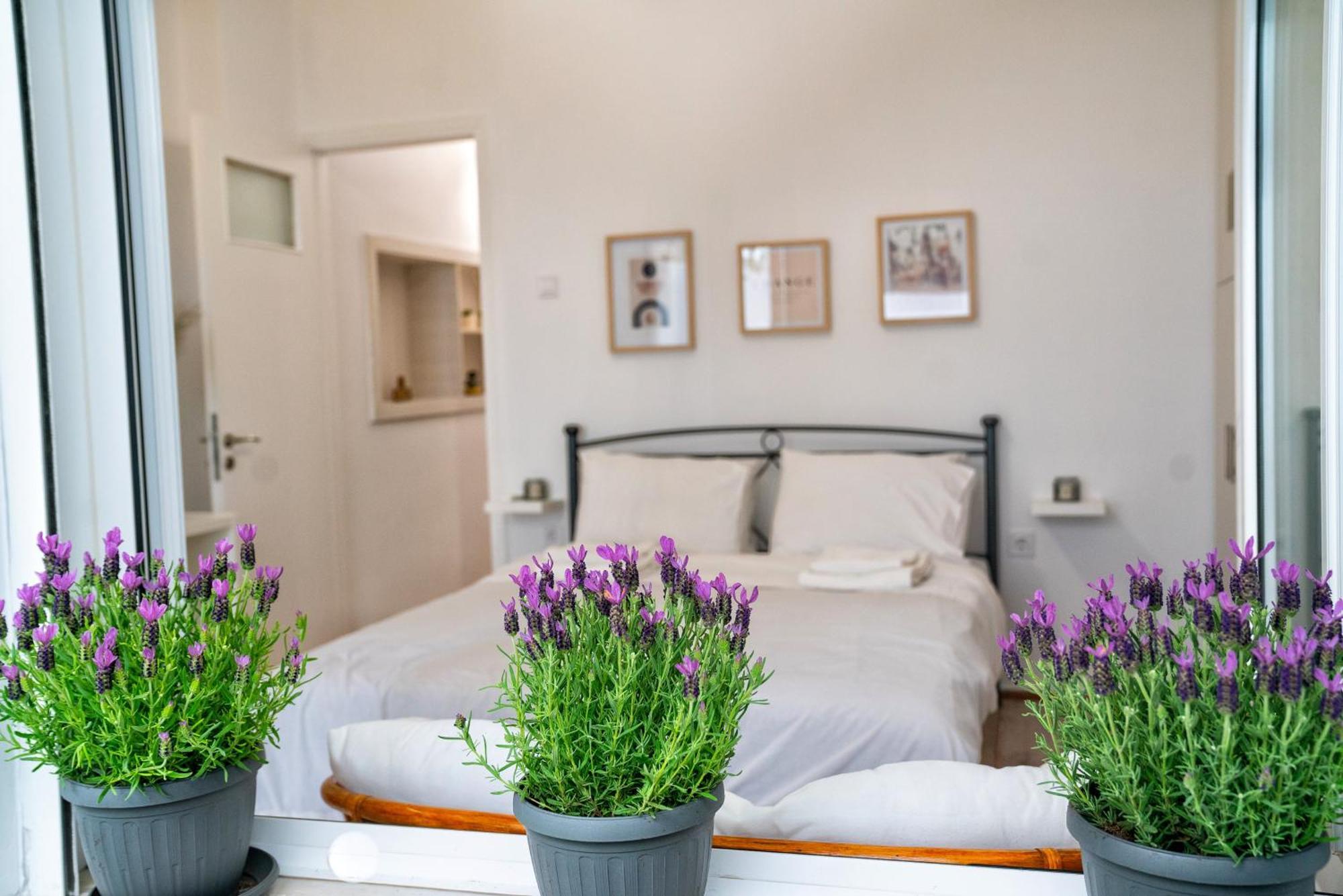 Apartment Lux Garden Near Acropolis In The Heart Of *